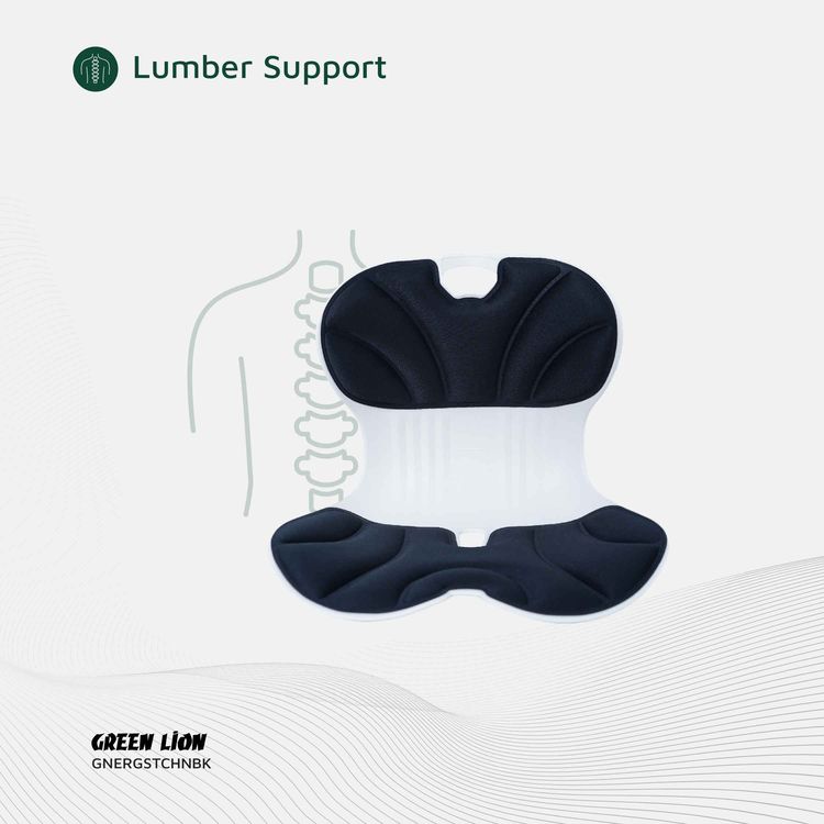 Green Lion Ergo Seat Cushion with PP, PU & Fabric Material, 150kg Max Load Capacity, Posture Correction, Lumbar Support, Elastic Backrest, Breathable Fabric, Comfortable Cushioning - Black