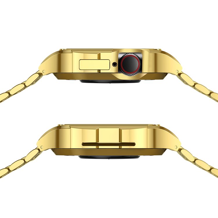 Green Lion Significato Steel Strap Case
