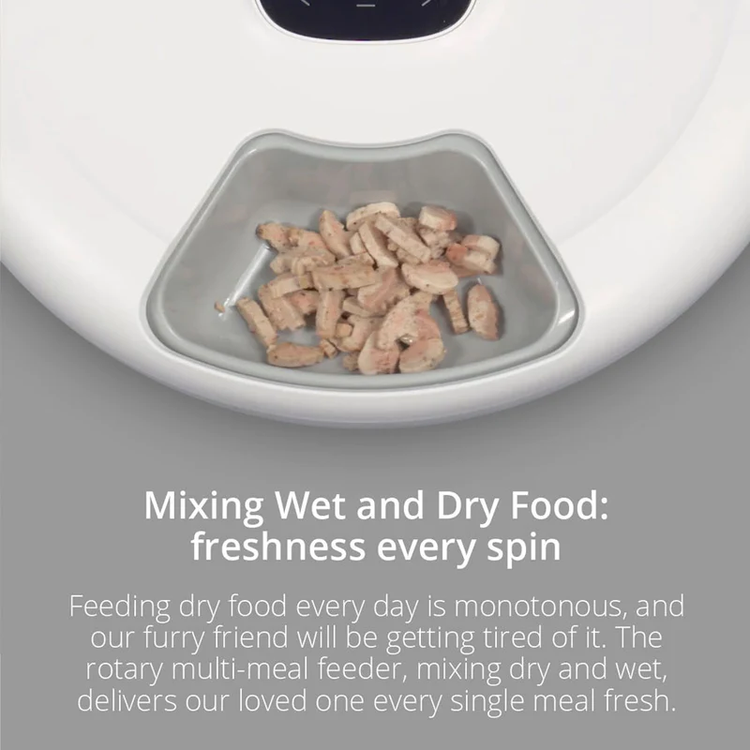 Petoneer NutriSpin 6 Meal Pet Feeder with 170mL Capacity per Compartment, Paw Protection, Detachable Design, Wet and Dry Food Blend, VA display - White