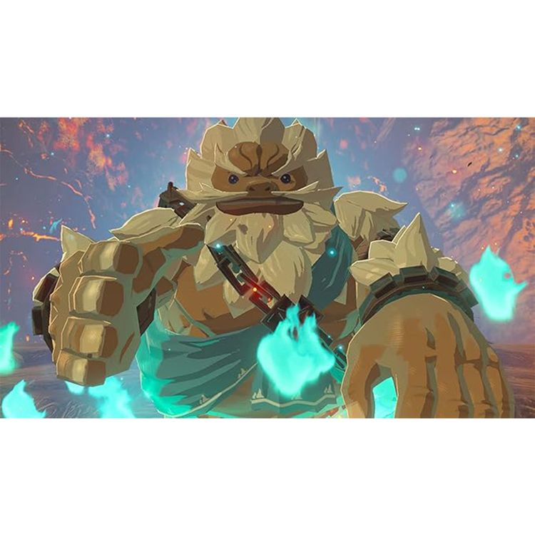 The Legend of Zelda Breath of the Wild Nintendo Switch Video Game (Nintendo Switch)