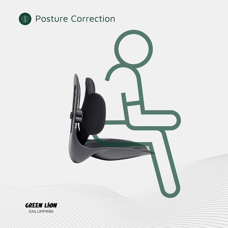 Green Lion Lumbar Pro Adjustable Back Posture Support with PP, PU & Fabric Material, 150kg Max Load Capacity, EVA Cushion Pad, Posture Support - Black