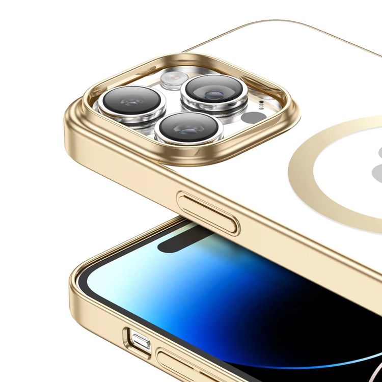 Green Lion Delgado Chrome Magsafe Case iPhone 14 Pro  - Silver