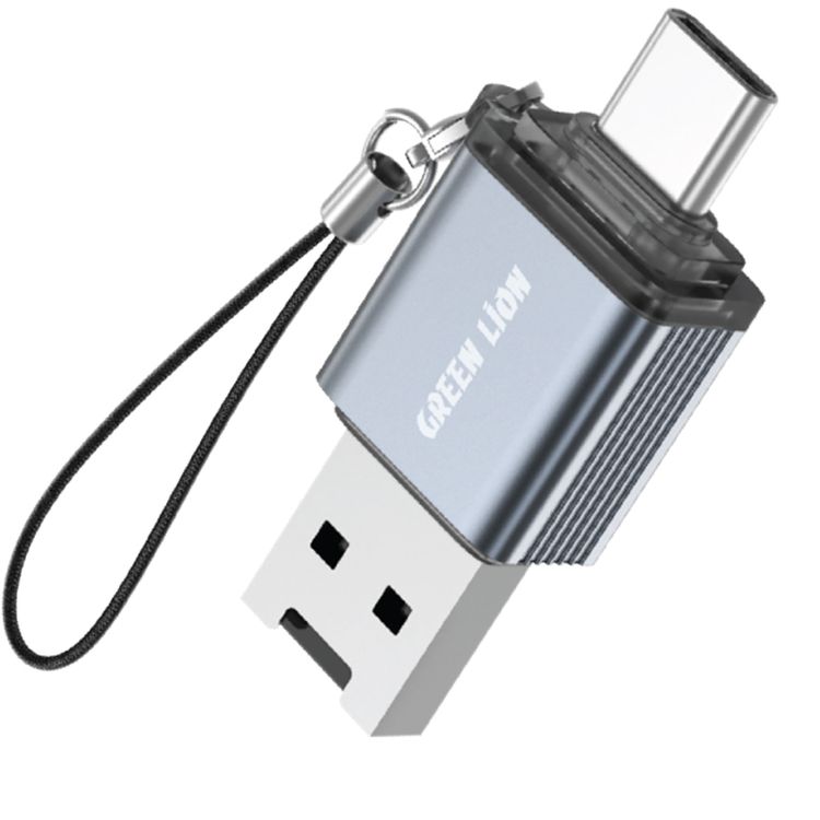 Green Lion 2-in-1 Card Reader with Supports Micro SD Cards, Wide Compatibility, Keychain Lanyard, Plug & Play, Aluminum Alloy Material, 480Mbps Transfer Speed - Gray