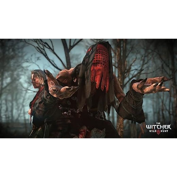 The Witcher 3 Game of the year edition (PS4)