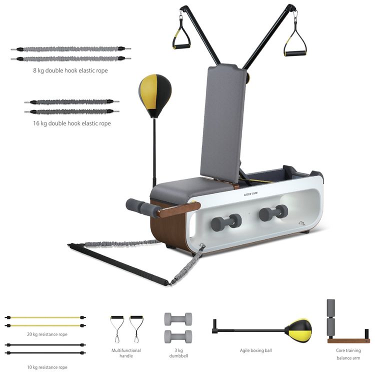 Green Lion Multifunctional Fitness Bench with Leather Sofa, 150kg Capacity, Built-in Wheels, 3kg Dumbbells ×2, Agile Boxing Ball, 10kg Resistance Ropes x2, 20kg Resistance Ropes x2, Dumbbell Row, Bench Press, Cable Crossover, Reverse Push, Ingenious Design - Gray