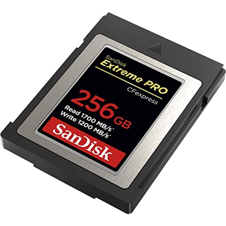 SanDisk 256GB Extreme PRO CFexpress Card Type B - SDCFE-256G-GN4IN - Black