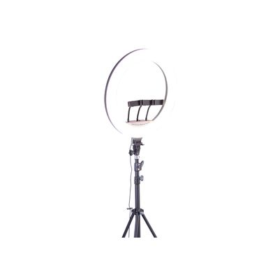 Green Lion GLR-22 LED Ring Light with Remote Control, Stepless Dimming, 360° Rotation, Adjustable Tripod, 480 LED Lamp Beads, Endless Light Gear - Black