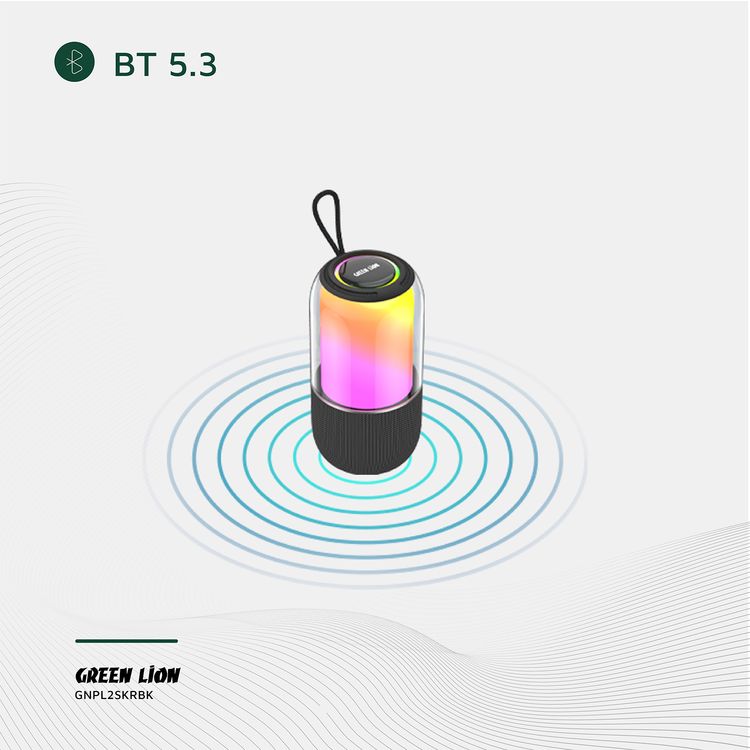 Green Lion Palma 2 RGB Portable Speaker with True Wireless Stereo Function, 360° Audio, IPX7 Waterproof, 6 Hours Playtime, Extra Bass - Black