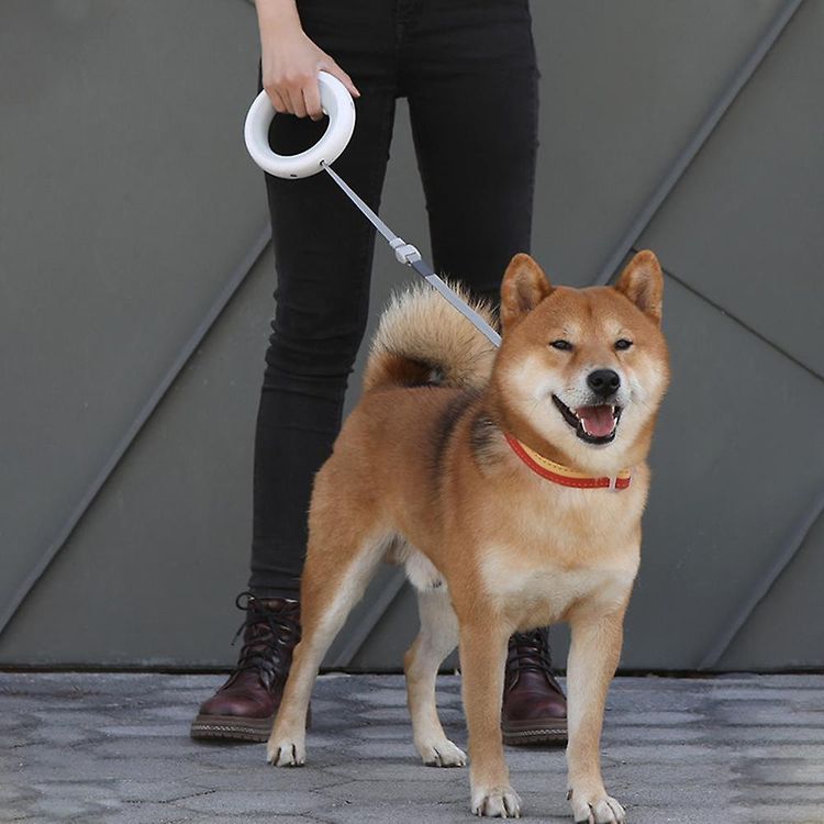 Moestar Retractable Dog Leash Pro 2 with Poop Bag Holder, 90kg Maximum Static Tensions, 210mAh Battery Capacity, 50,000 Full Expansions, 3m Total Traction Length, Large Size - Neutral Gray