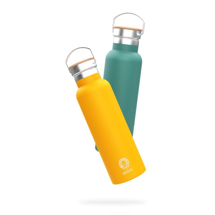 Green Lion Vacuum Flask Stainless Steel Water Bottle 600ml / 21oz with Handle, Aqua Max Double Vacuum Wall, Insulated Water Bottle, Scratch Defense & Condensation Proof - Green
