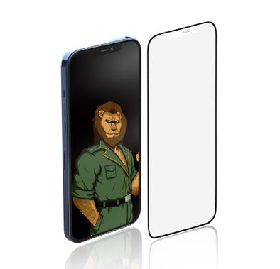 Green Lion 2.5D Anti-Glare Matt Surface Glass Screen Protector Compatible for iPhone 12 / 12 Pro ( 6.1" ) 9H Hardness, Anti-Scratch, Easy Installation, Anti-Fingerprint Tempered Glass - Clear