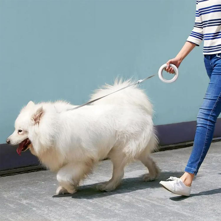 Moestar Retractable Dog Leash 2 with 50kg Maximum Static Tensions, 200mAh Battery Capacity, 50,000 Full Expansions, 2.6m Total Traction Length - Neutral Gray