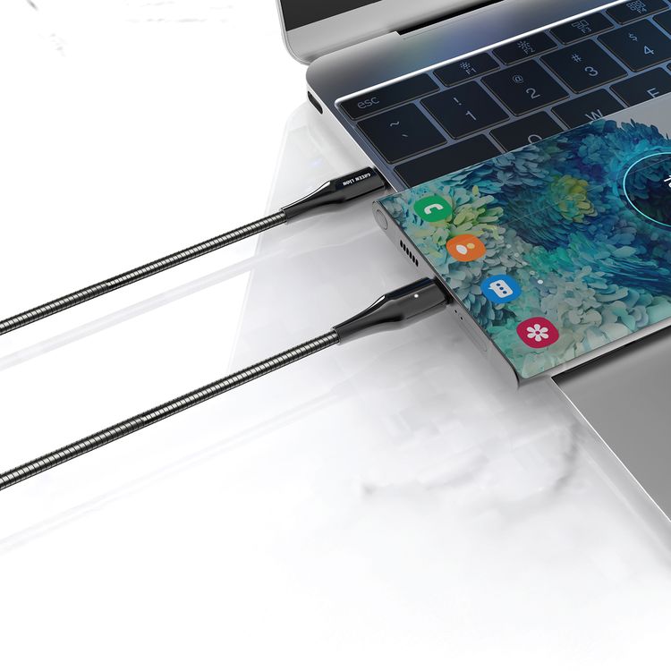 Green Lion Metal Spring Hose Cable USB-C To USB-C with 60W Power Delivery, 1m Cable Lenght, Metal Hose + Zinc Material - Silver