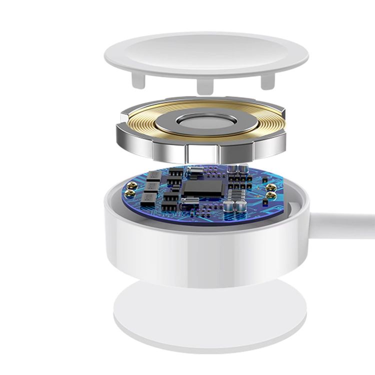 GreenLion 2 In 1 Magnetic Wireless Charging Cable,  