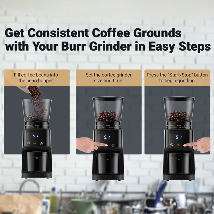 Lepresso Conical Burr Grinder, 275g Bean Hopper Capacity, 99g Chamber Capacity, 31 Grind Settings, User Friendly Interface, Timer Technology - Black