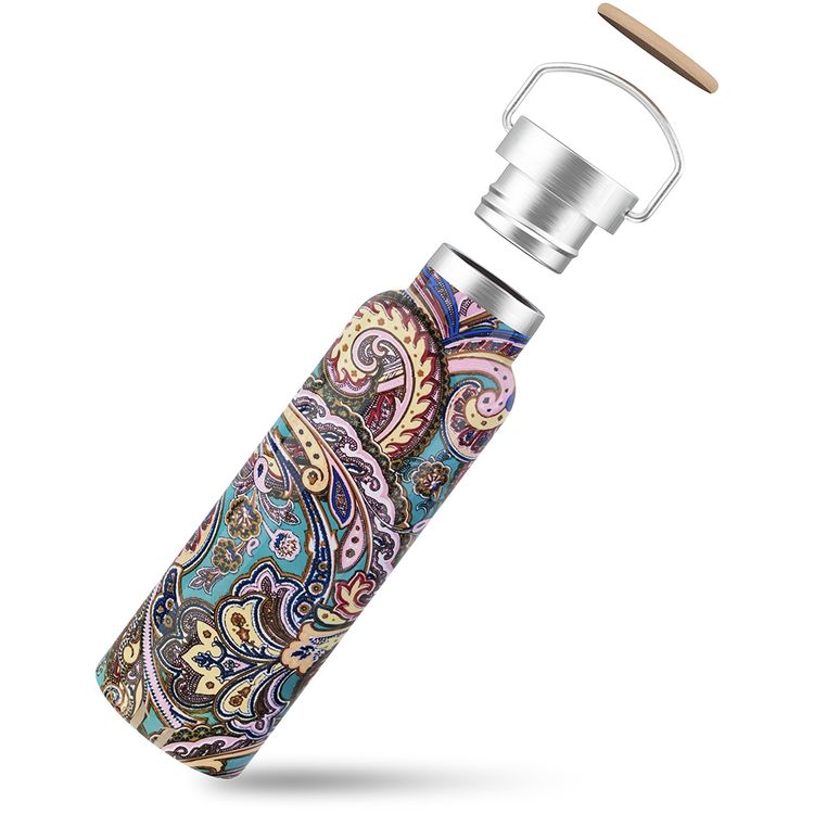 Green Lion Portable Pattern Water Bottle with 600mL Capacity, Stainless Steel Material, Up to 6 Hours Hot & Cold Insulation, Easy To Carry & Clean, High Durability - Mural