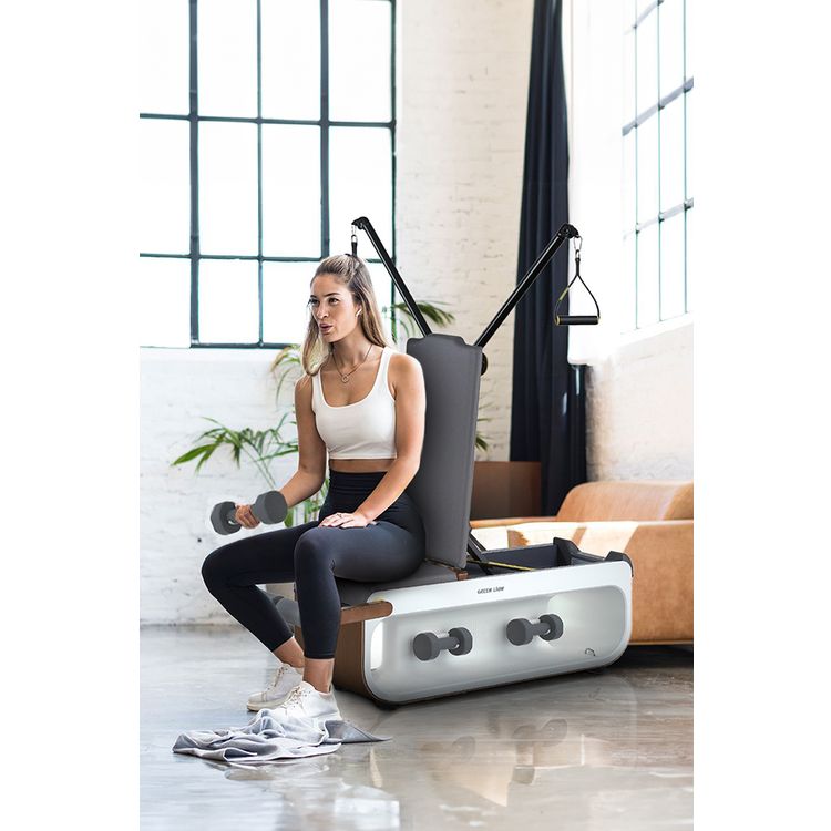 Green Lion Multifunctional Fitness Bench with Leather Sofa, 150kg Capacity, Built-in Wheels, 3kg Dumbbells ×2, Agile Boxing Ball, 10kg Resistance Ropes x2, 20kg Resistance Ropes x2, Dumbbell Row, Bench Press, Cable Crossover, Reverse Push, Ingenious Design - Gray