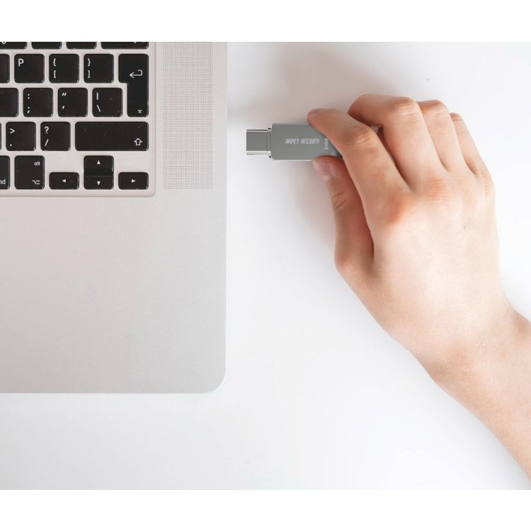 Green Lion 2-in-1 USB-C to USB-A OTG with 256GB Storage, High-Speed Data Transfer, Wide Compatibility, 360° Swivel Design, Plug & Play - Silver