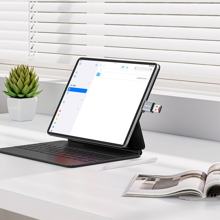 Green Lion 2-in-1 Card Reader with Supports Micro SD Cards, Wide Compatibility, Keychain Lanyard, Plug & Play, Aluminum Alloy Material, 480Mbps Transfer Speed - Gray