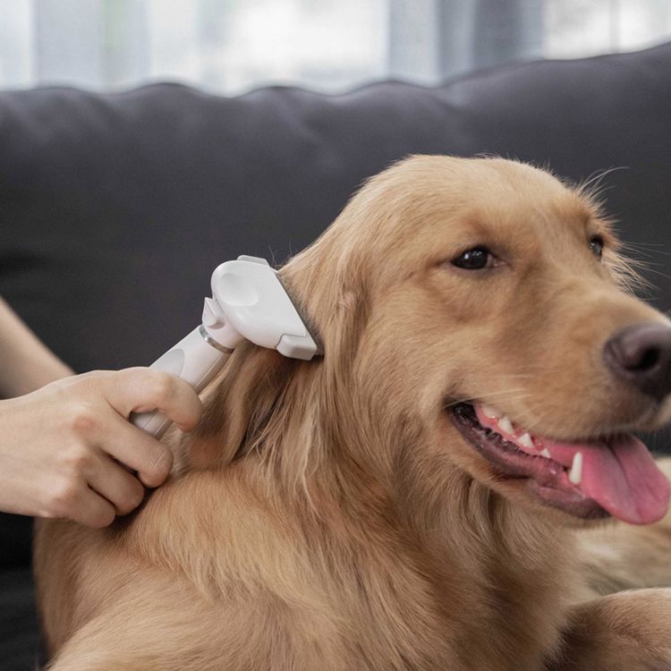 Pawbby De-Shedding Brush with Anti-Slip Handle, Ergonomic T-Shape Design, 2 Control Channels, Designed for Cats & Dogs, Removable & Easy-to-Clean Blades - White