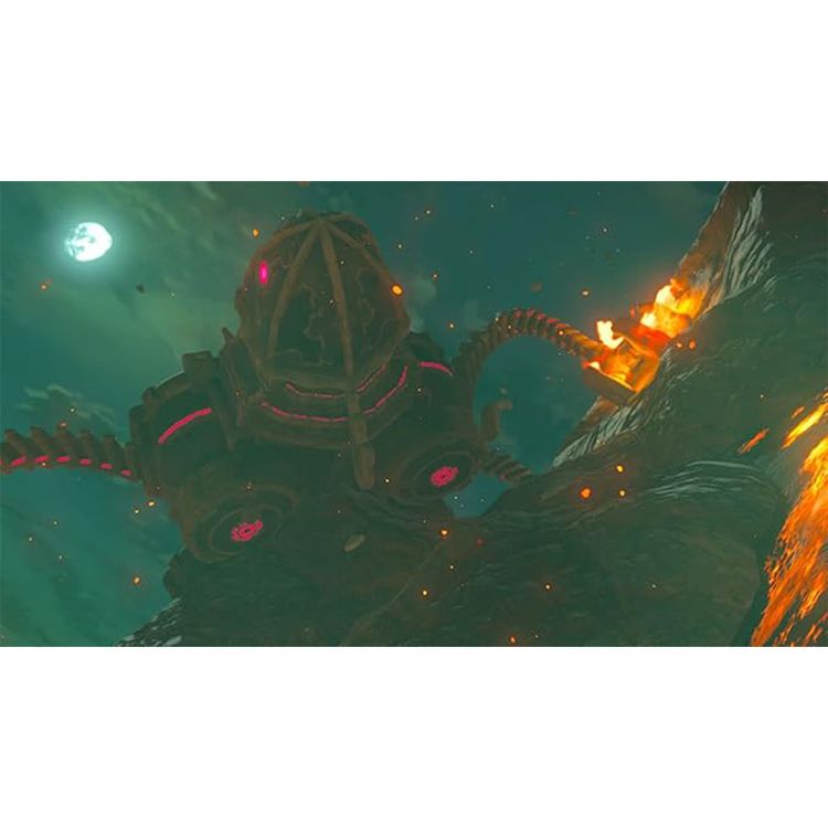 The Legend of Zelda Breath of the Wild Nintendo Switch Video Game (Nintendo Switch)