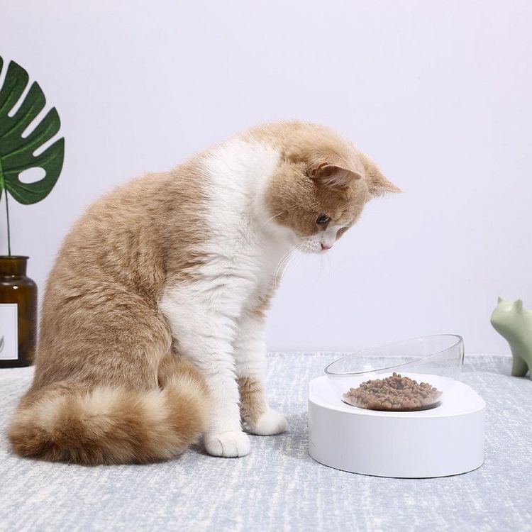 PETKIT Fresh Nano 15  Adjustable Cat Feeding Bowl Set - White
