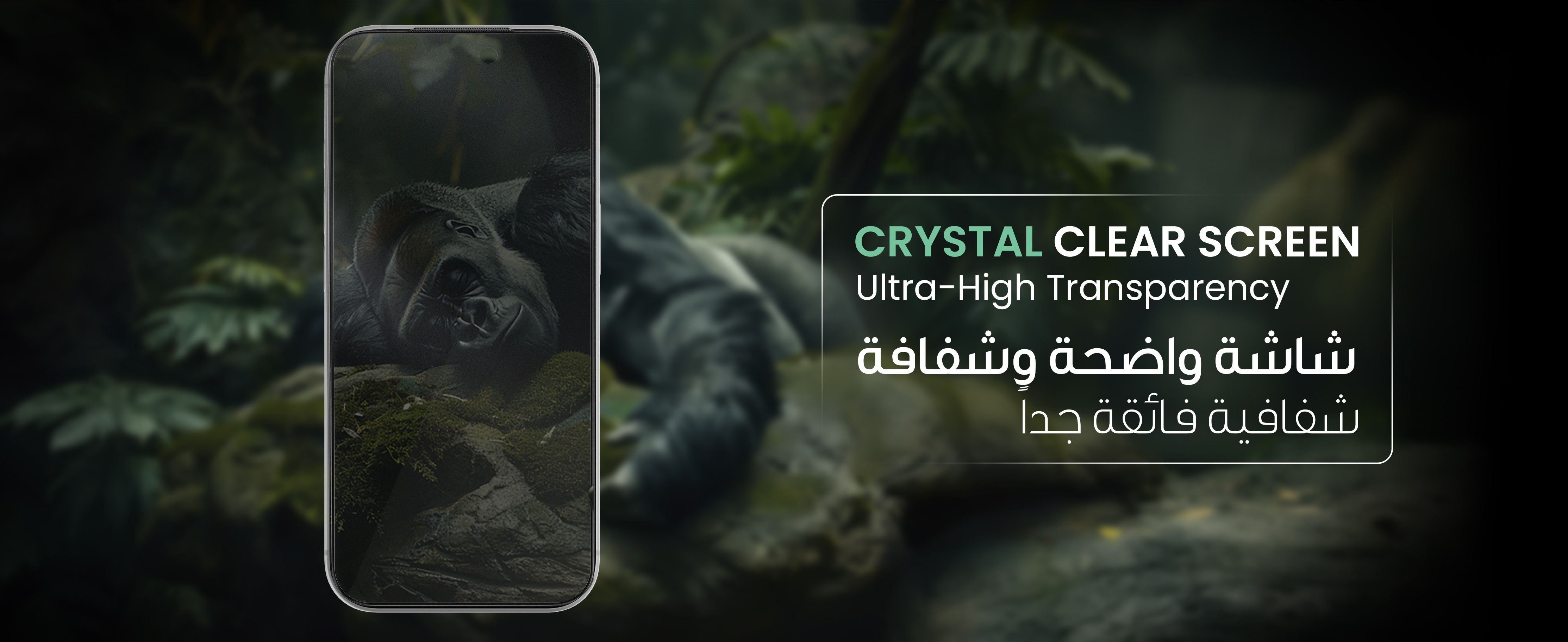 adv content full size banner image