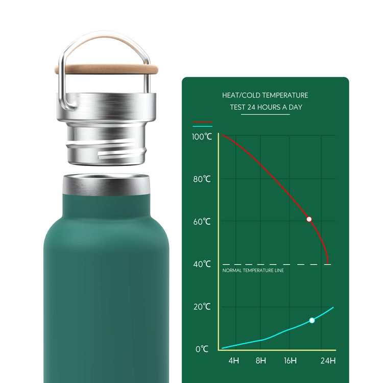 Green Lion Vacuum Flask Stainless Steel Water Bottle 600ml / 21oz with Handle, Aqua Max Double Vacuum Wall, Insulated Water Bottle, Scratch Defense & Condensation Proof - Green