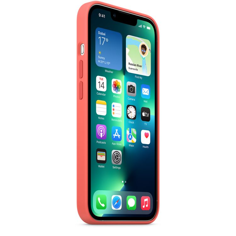 Apple Silicone Case with MagSafe Compatible for iPhone 13 Pro (6.1") – Pink Pomelo