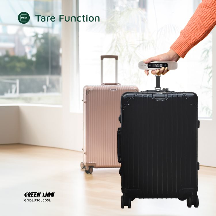 Green Lion Digital Luggage Scale with Overload & Low Battery Indicator, 30s Auto Shut Off, Tare Function, 1-50kg Capacity & 10g Division, Digital Display - Silver