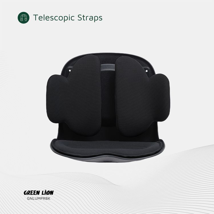 Green Lion Lumbar Pro Adjustable Back Posture Support with PP, PU & Fabric Material, 150kg Max Load Capacity, EVA Cushion Pad, Posture Support - Black