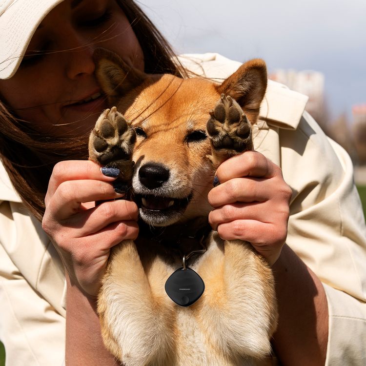 باورولوجي سمارت تاج بتحديثات في الوقت الحقيقي، عمر البطارية يصل إلى 16 شهراً، متوافق مع macOS وiOS 14.5 وما فوق، إصدار بلوتوث 5.3، تصميم محمول، بطارية CR2032 قابلة للاستبدال - أسود