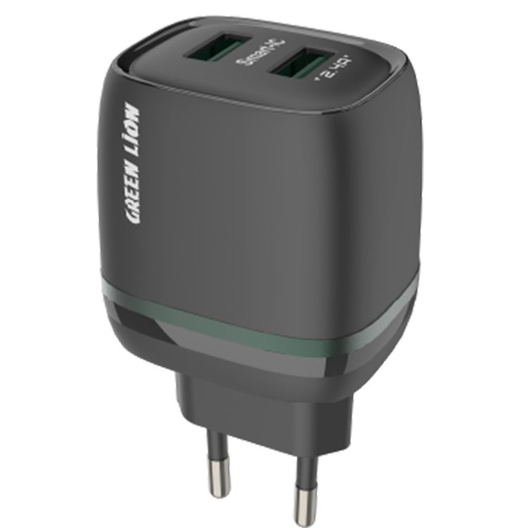 Green Lion Dual USB 12W Wall Charger With USB-A To USB-C Cable 1M EU - Black