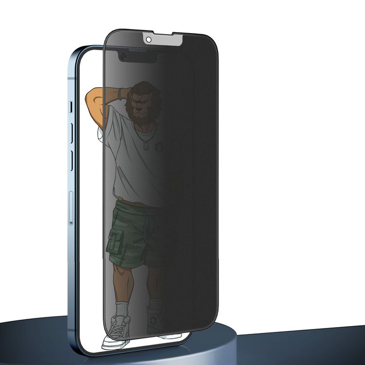 Green Lion 3D Silicone AG/Matte Privacy Glass Screen Protector for iPhone 13 Pro  - Black