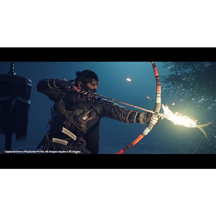 Ghost of Tsushima Standard Edition (PS4)