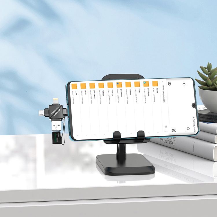 Green Lion 4-in-1 TF Card Reader with Supports Micro SD Cards, Plug & Play, Keychain Lanyard, Universal Compatibility, 480Mbps Transfer Speed - Gray