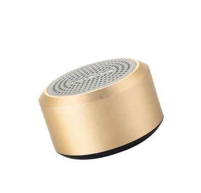 Green Lion Mini Muscle Speaker - Gold