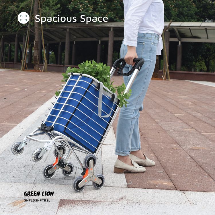 Green Lion Foldable Shopping Trolley with Shopping Bag & Elastic Ring, 20kg Maximum Load, Multiple Use, 8 Wheels, 360° Rotating Handle - Silver