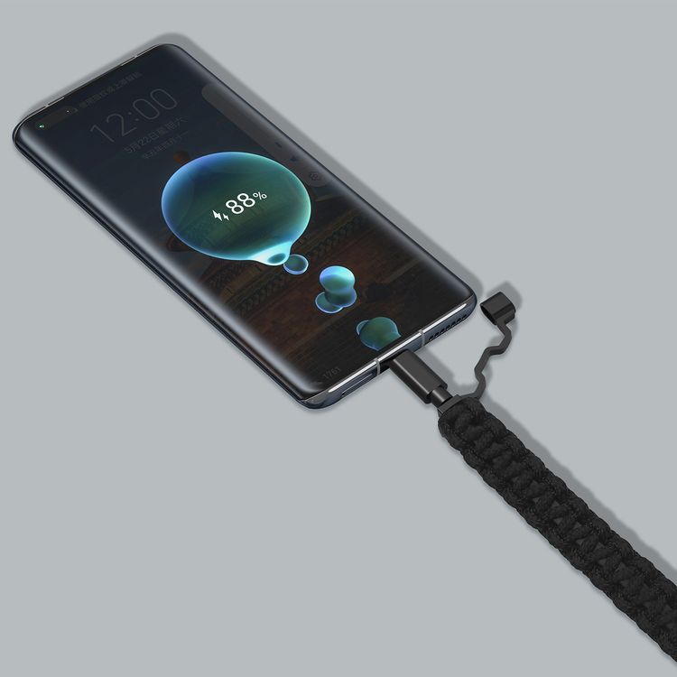 Green Lion Rescue USB-C to USB-C Cable with 1m Length, 60W Power Delivery, Fast Charge & Data Sync, 10000+ Bends Lifespan, TPE & Braided Material, Tangle-free Design - Black