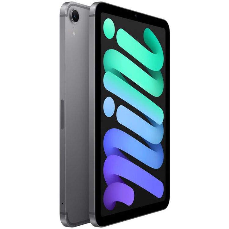 iPad Mini A17 Pro 2024 Wi-Fi + Cellular 128GB - Space Gray