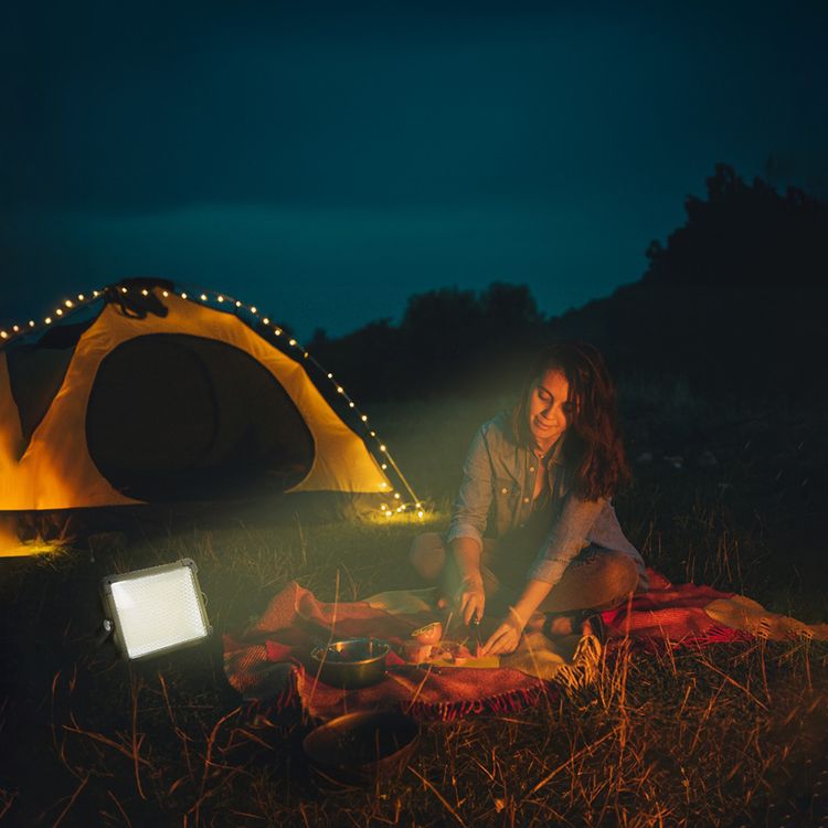 Green Lion Solar Camping Light with Power Bank Function, Up to 12 Hours Working Time, 4 Light Modes, 2.1m Maximum Adjustable Height, Digital Battery Display, 1500lm Brightness - Silver