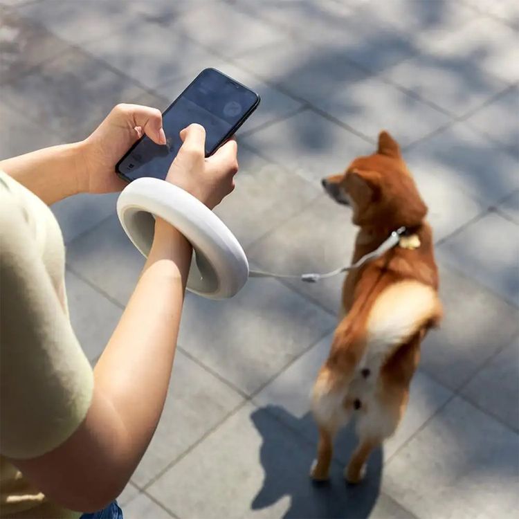 Moestar Retractable Dog Leash 2 with 50kg Maximum Static Tensions, 200mAh Battery Capacity, 50,000 Full Expansions, 2.6m Total Traction Length - Neutral Gray