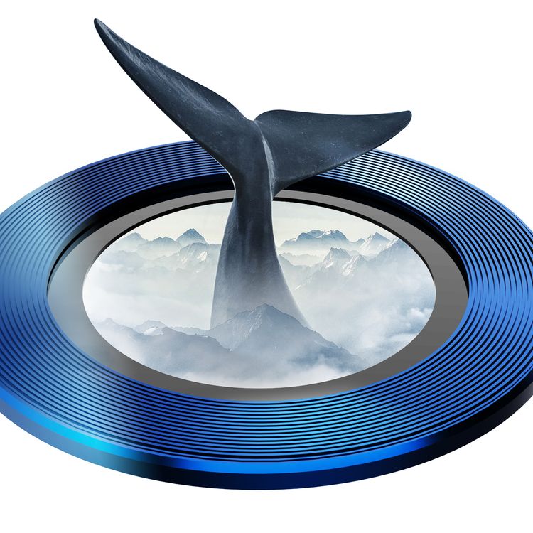 Green Lion Anti-Glare Camera Glass Protector Compatible for iPhone 12 / 12 Pro (6.1") Seamless Absorption, 360 Protection Lens, 9H Anti-Reflective, Explosion-proof Lens - Black