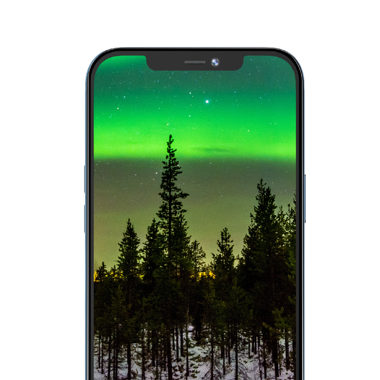 Green Lion 3D Privacy Glass Screen Protector for iPhone 11 Pro (5.8") Shock & Impact Protection, Anti-Peeping Full Glass, Easy Installation Tempered Glass - Black