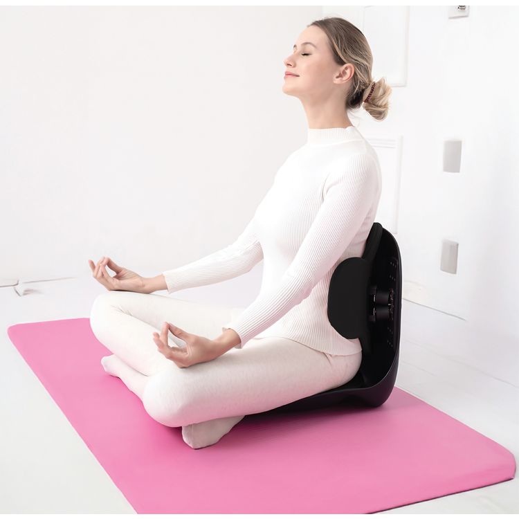 Green Lion Lumbar Pro Adjustable Back Posture Support with PP, PU & Fabric Material, 150kg Max Load Capacity, EVA Cushion Pad, Posture Support - Black