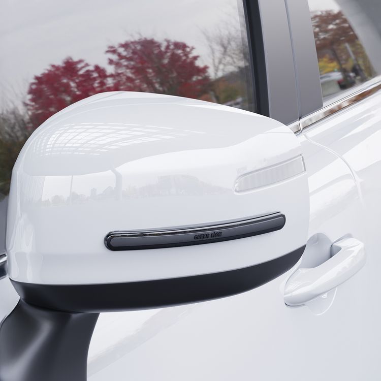 حماية باب السيارة والمرايا من Green Lion مع مجموعة من 4 شرائط، بقبضة لاصقة قوية، ملائمة ومرنة للأحجام العالمية، مقاومة للصدمات، مقاومة للطقس، حماية من الخدوش، ملائمة ومرنة للأحجام العالمية - باللون الأسود