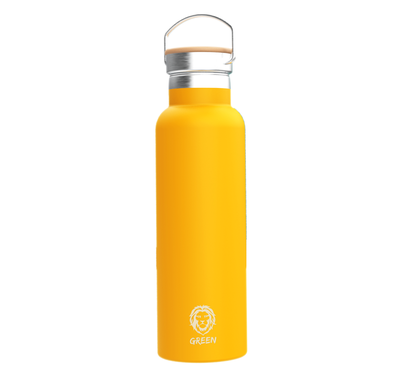 Green Lion Vacuum Flask Stainless Steel Water Bottle 600m...
