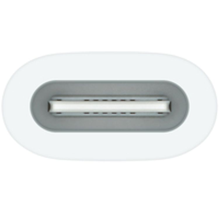 Apple Pencil Adapter to Apple USB-C | White