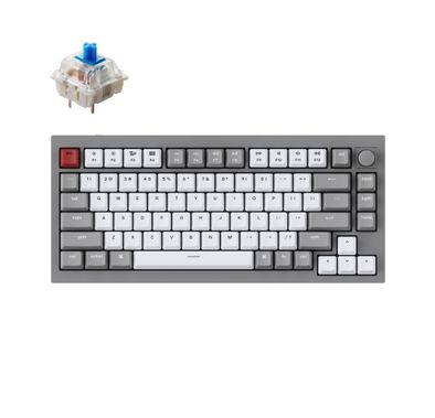 Keychron Q1 QMK Gateron Phantom Mechanical Keyboard with Knob, RGB, Blue Switch & Custom Hot-swappable | Ergonomic Design Gaming Keyboard - Space Gray