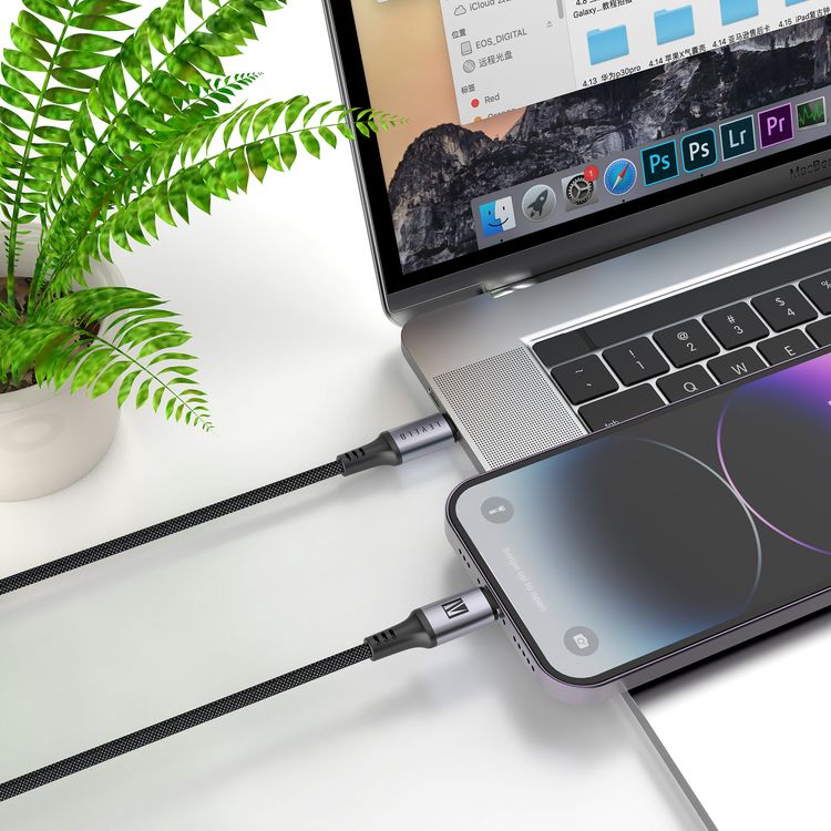 Levelo Otto USB-C to Lightning 30W Leather Cable, Tangle-Free, Fast Charging, Heat Resistant, 1.2m Cable Length - Black 